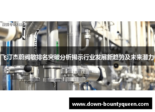 飞汀杰蔚阀敏排名突破分析揭示行业发展新趋势及未来潜力