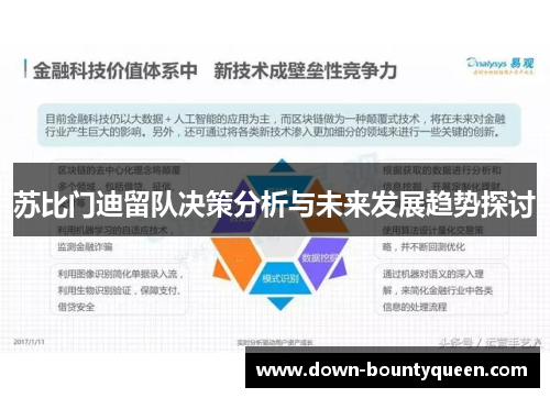 苏比门迪留队决策分析与未来发展趋势探讨